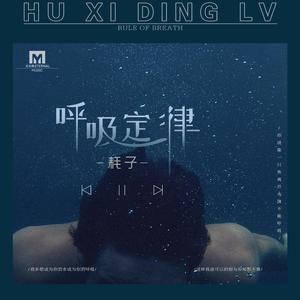 3p视频在线观看
