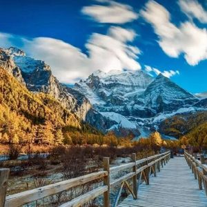 3p视频在线观看
