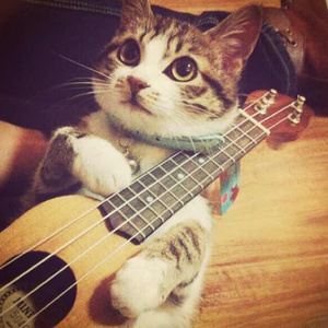 3p视频在线观看
